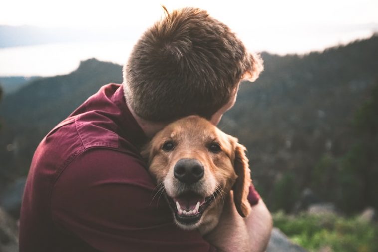 Happy dog