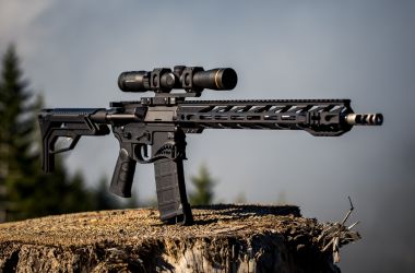 All You Need to Know About the Palmetto State Armory AR-15