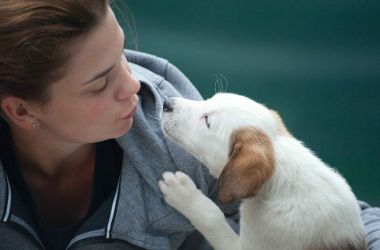 Ways to Celebrate & Shelter the Puppies on National Rescue Dog Day