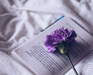 National Book Lover’s Day: Top Offers to Buy Best Selling Books