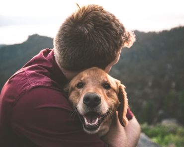 Pet Care Tips – How to Secure Your Pets in all Seasons