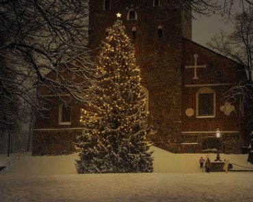 Perfect Ways to Elegantly Decorate Your Christmas Tree