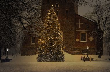 Perfect Ways to Elegantly Decorate Your Christmas Tree