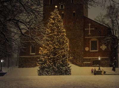 Perfect Ways to Elegantly Decorate Your Christmas Tree