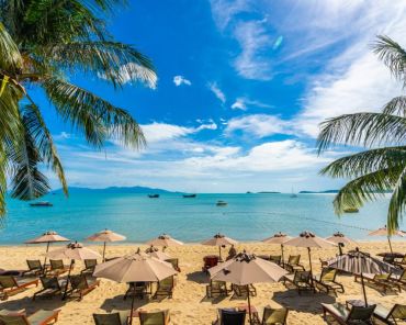 Fun Activities You Should Try On A Day Trip To Jamaica Beach