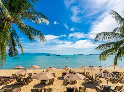 Fun Activities You Should Try On A Day Trip To Jamaica Beach