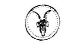 AllSaints