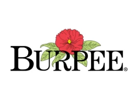 Burpee