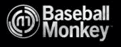 Baseball Monkey