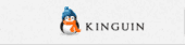 Kinguin Coupon Codes