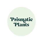 Prismatic Plants Coupon Codes