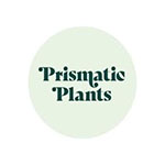 Prismatic Plants Coupon Codes Prismatic Plants Coupon Codes
