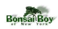 Bonsai Boy Of New York Coupon Code