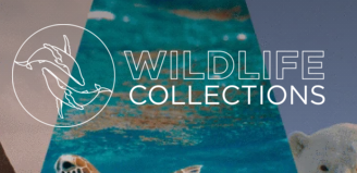 Wildlife Collections Discount Codes