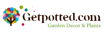 Get Potted Voucher & Promo Codes