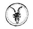 AllSaints Promo Codes
