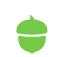 Acorns