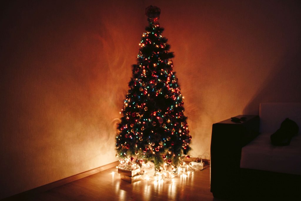Christmas Tree during night